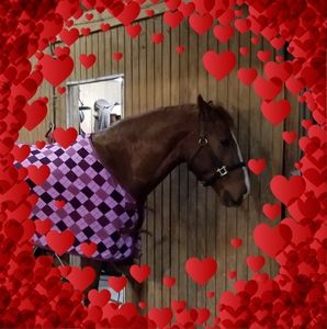 Meet your Posher, Joan